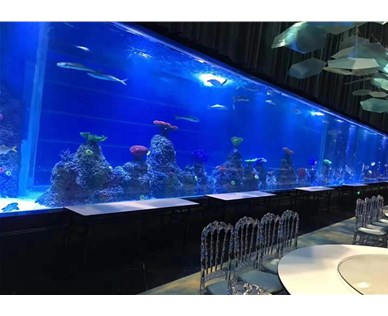 海洋餐厅需要什么样的过滤设备？