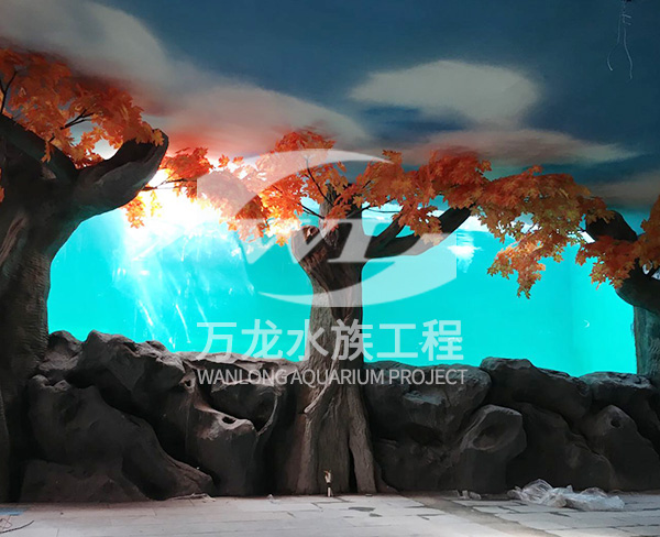 大型鱼缸的尺寸如何选择？