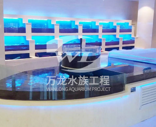 负压鱼缸的市场前景如何？