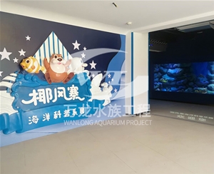 负压鱼缸日常维护方法