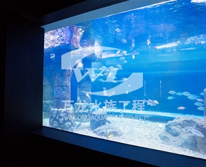 三亚大型亚克力...