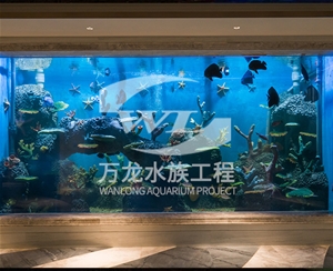 三亚海底景观设计