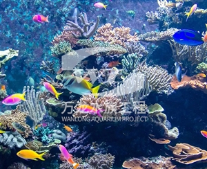 三亚海底景观设计